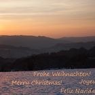 Ich wünsche allen ein frohes und besinnliches Weihnachtsfest!