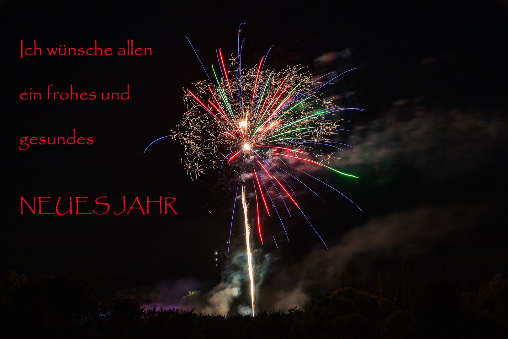 Ich wünsche allen ein frohes und gesundes Neues Jahr... Foto & Bild