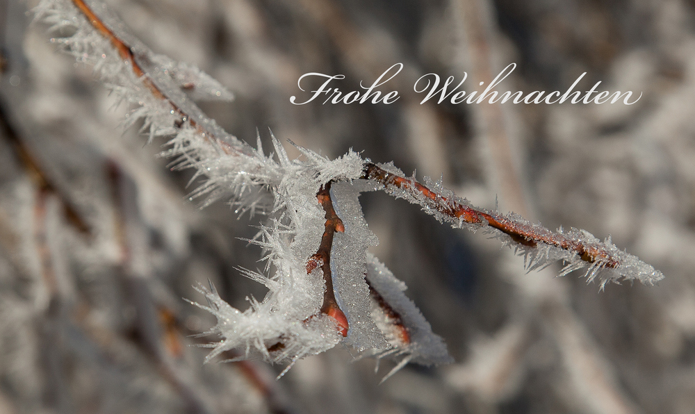 ..ich wünsche allen ein frohes Weihnachtsfest Foto & Bild karten und kalender