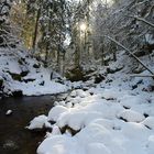 Ich wünsche Allen ein schönes und friedvolles Weihnachtfest....