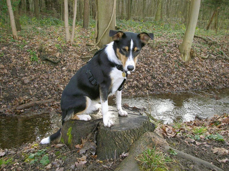 Ich wünsche allen einen tollen Start ins 2007