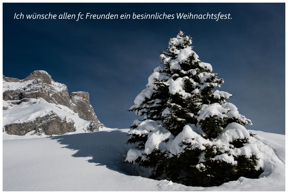 Ich wünsche allen fc Freunden ein besinnliches Weihnachtsfest