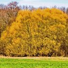 Ich wünsche allen Fotofreunden ein schönes sonniges Wochenende