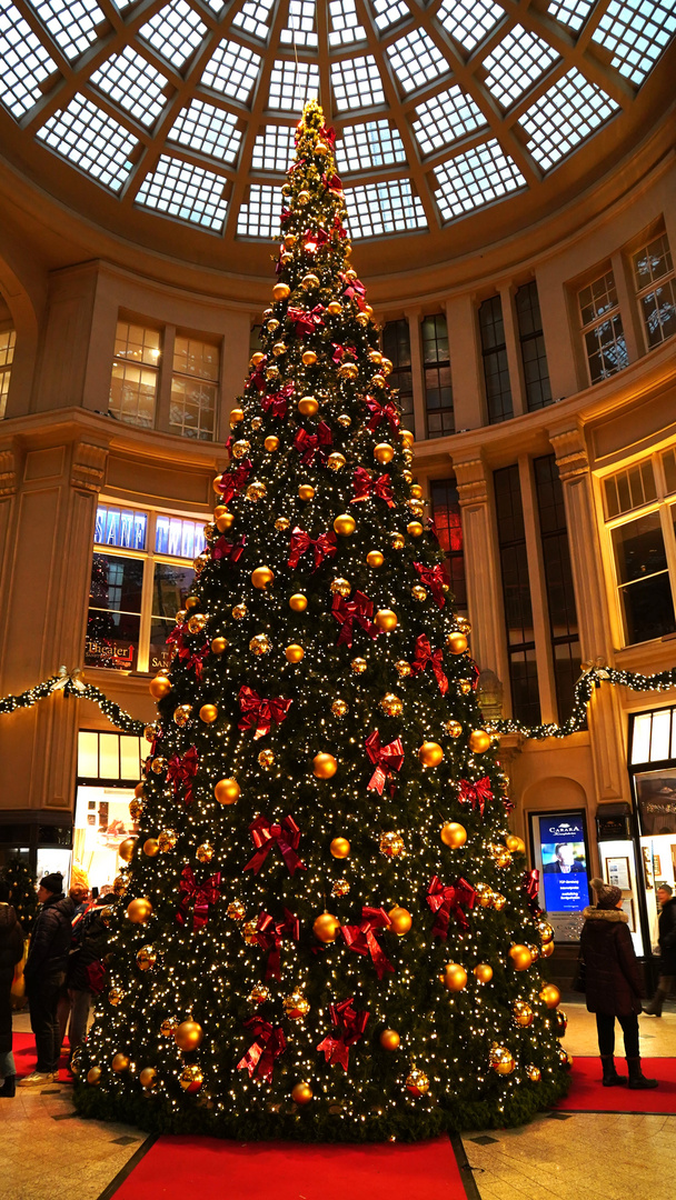 Ich wünsche allen Friedliche Weihnacht....