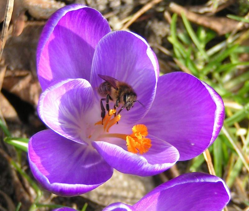 Ich wünsche allen frohe Ostern