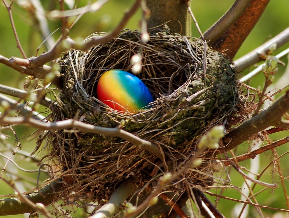 Ich wünsche allen Usern ein frohes Osterfest