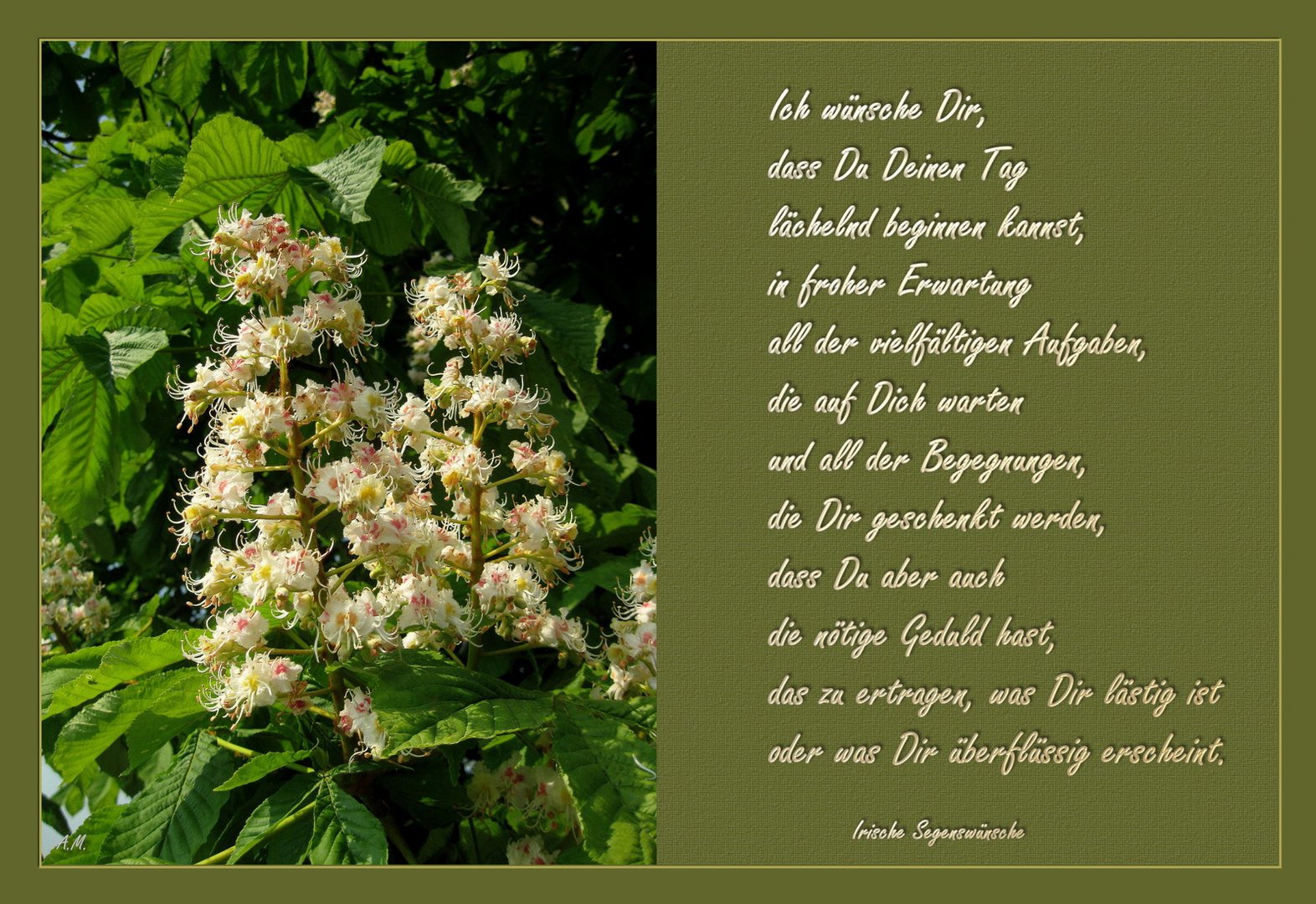 34++ Ich wuensche dir zeit spruch information