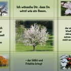 Ich wünsche Dir, dass Du wirst wie ein Baum