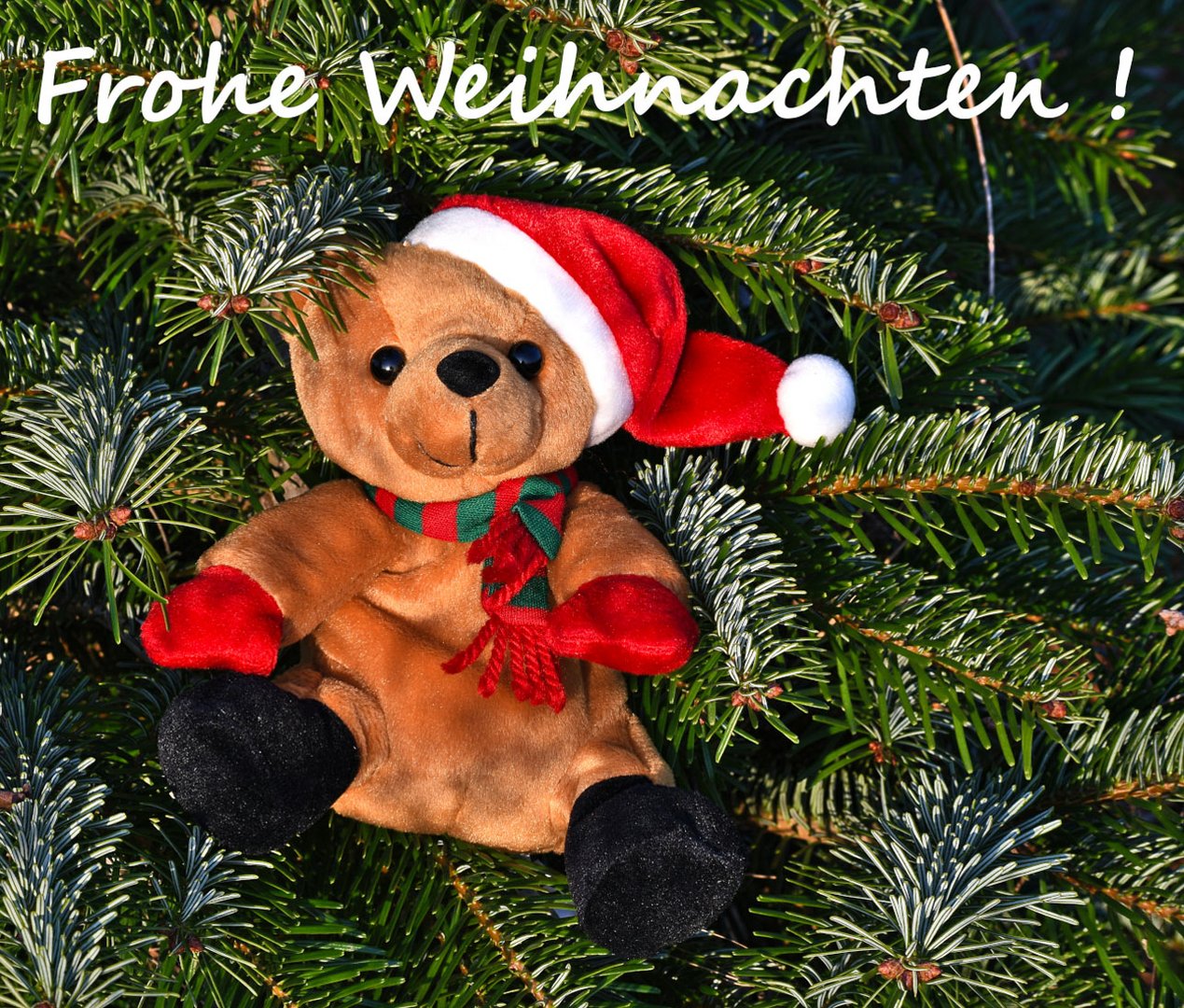 Ich wünsche dir ein wunderschönes,... Foto & Bild weihnachten, fotos