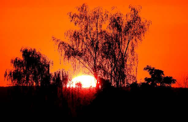 Ich wünsche dir einen sehr schönen Sonntag und  ..