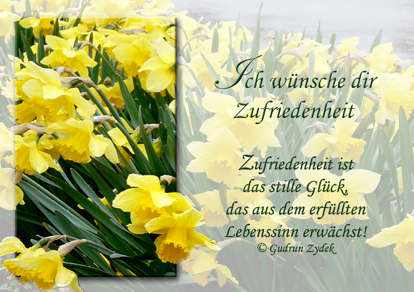 Ich wünsche dir Zufriedenheit Foto &amp; Bild karten und kalender, spruchkarten, frühling Bilder