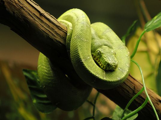 Ich wünsche einen gemütlichen Sonntag …