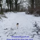 Ich wünsche euch allen ein guter Rutsch ins neue Jahr 2015