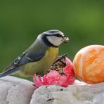 Ich wünsche Euch allen ein schönes und harmonisches Osterfest!!!