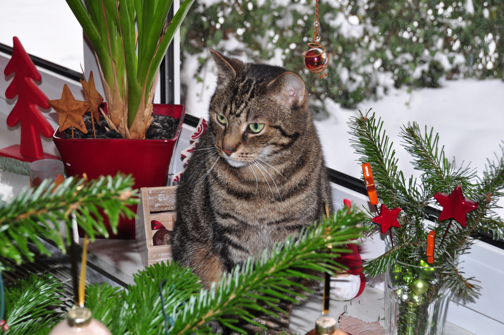 Ich wünsche Euch allen einen schönen 4. Advent und frohe Festtage.