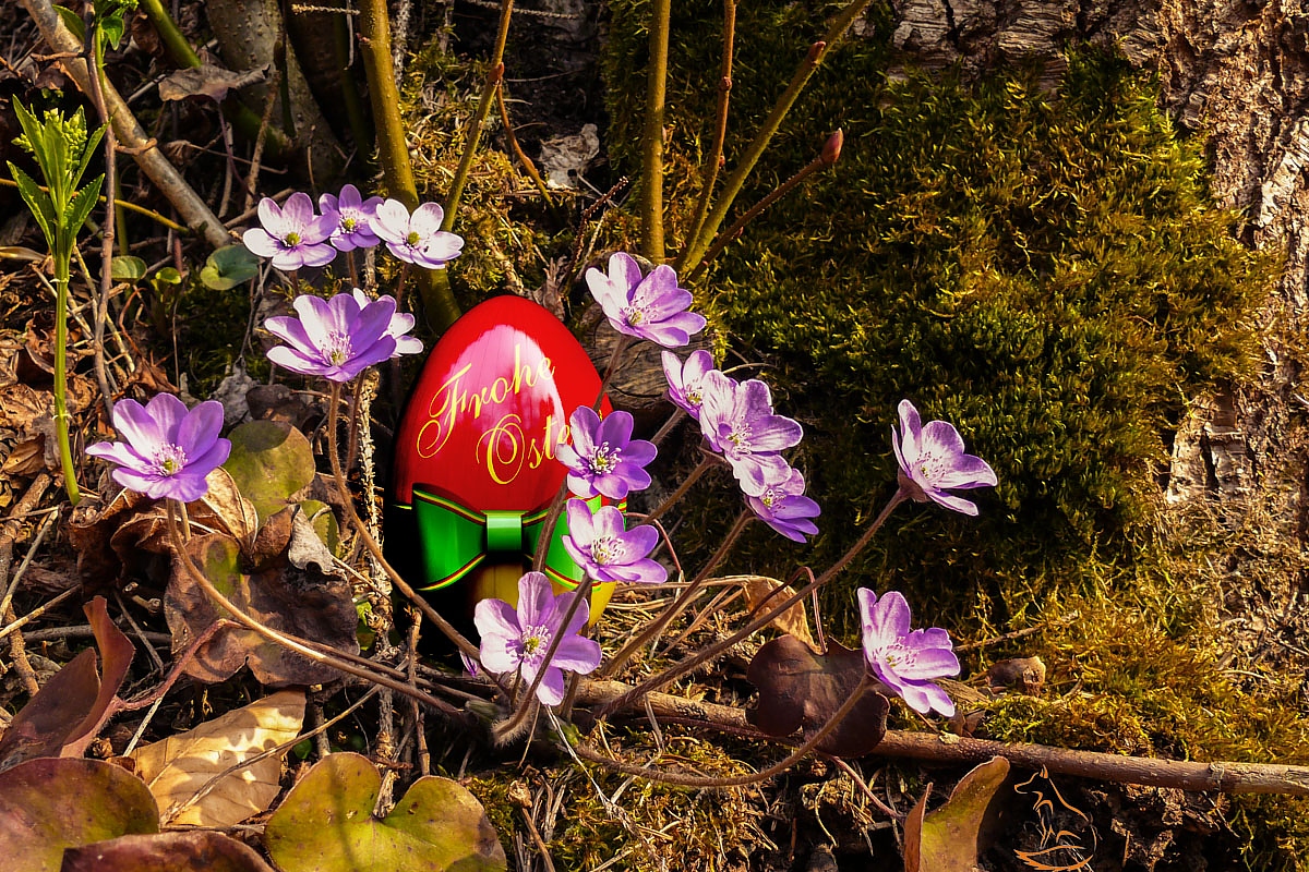 Ich wünsche Euch allen richtig schöne und frohe Ostern !!