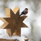 Ich wünsche Euch ein frohes neues Jahr!