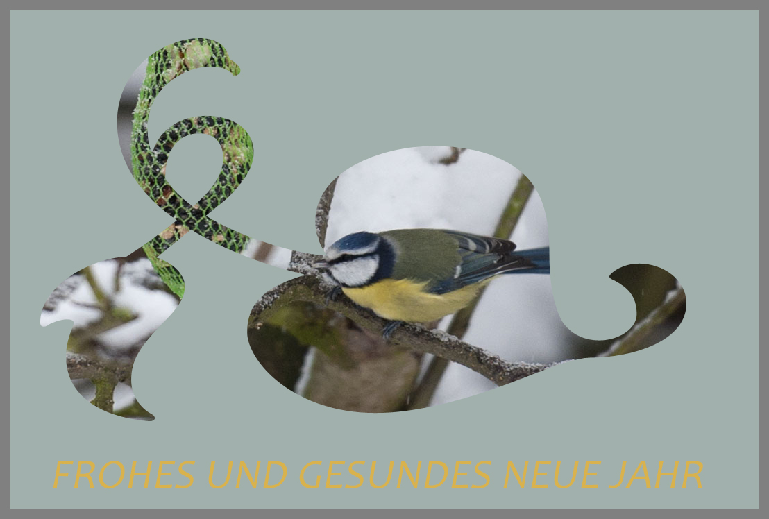 Ich wünsche euch ein frohes und gesundes neues Jahr