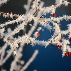 Ich wünsche Euch ein gutes und vorallem friedliches 2017!