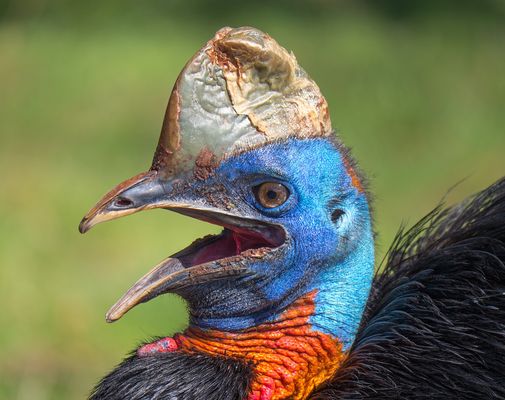 "Ich wünsche Euch ein schönes Wochenende!"