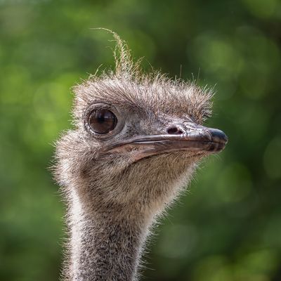 "Ich wünsche Euch ein schönes Wochenende!"