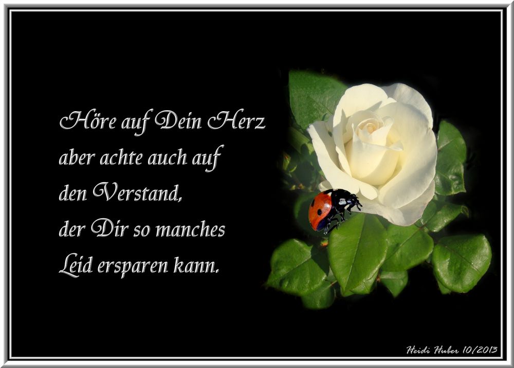 Ich Wünsche Euch Ich Wünsche Euch
