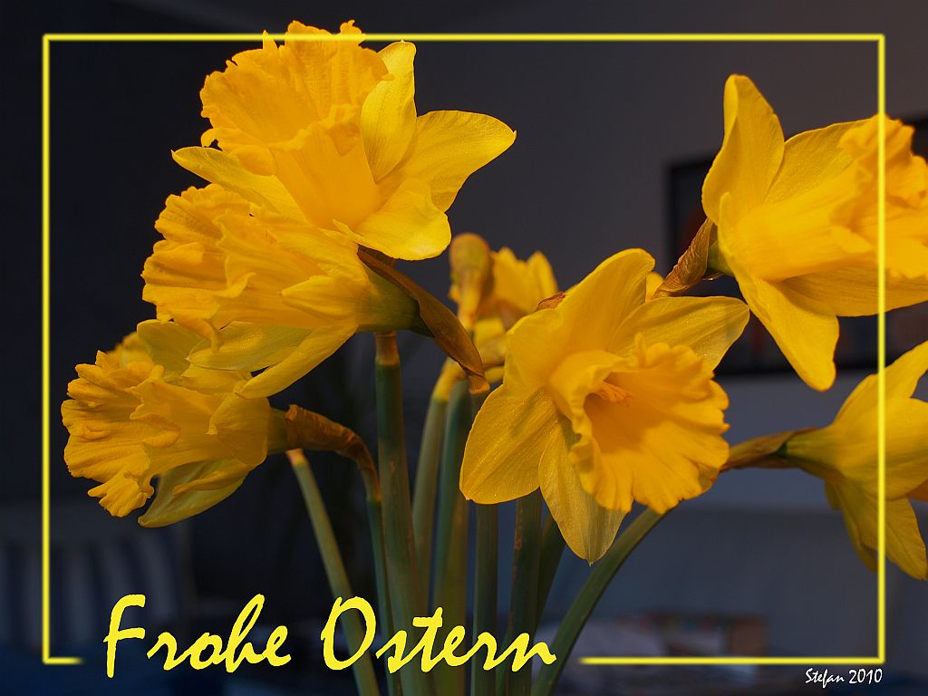 Ich wünsche euch Frohe Ostern! Foto & Bild | karten und kalender ...