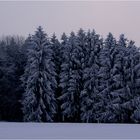 Ich wünsche Euch für die neue Woche die ersten zarten Vorfrühlingsgefühle (;-))