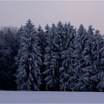 Ich wünsche Euch für die neue Woche die ersten zarten Vorfrühlingsgefühle (;-))