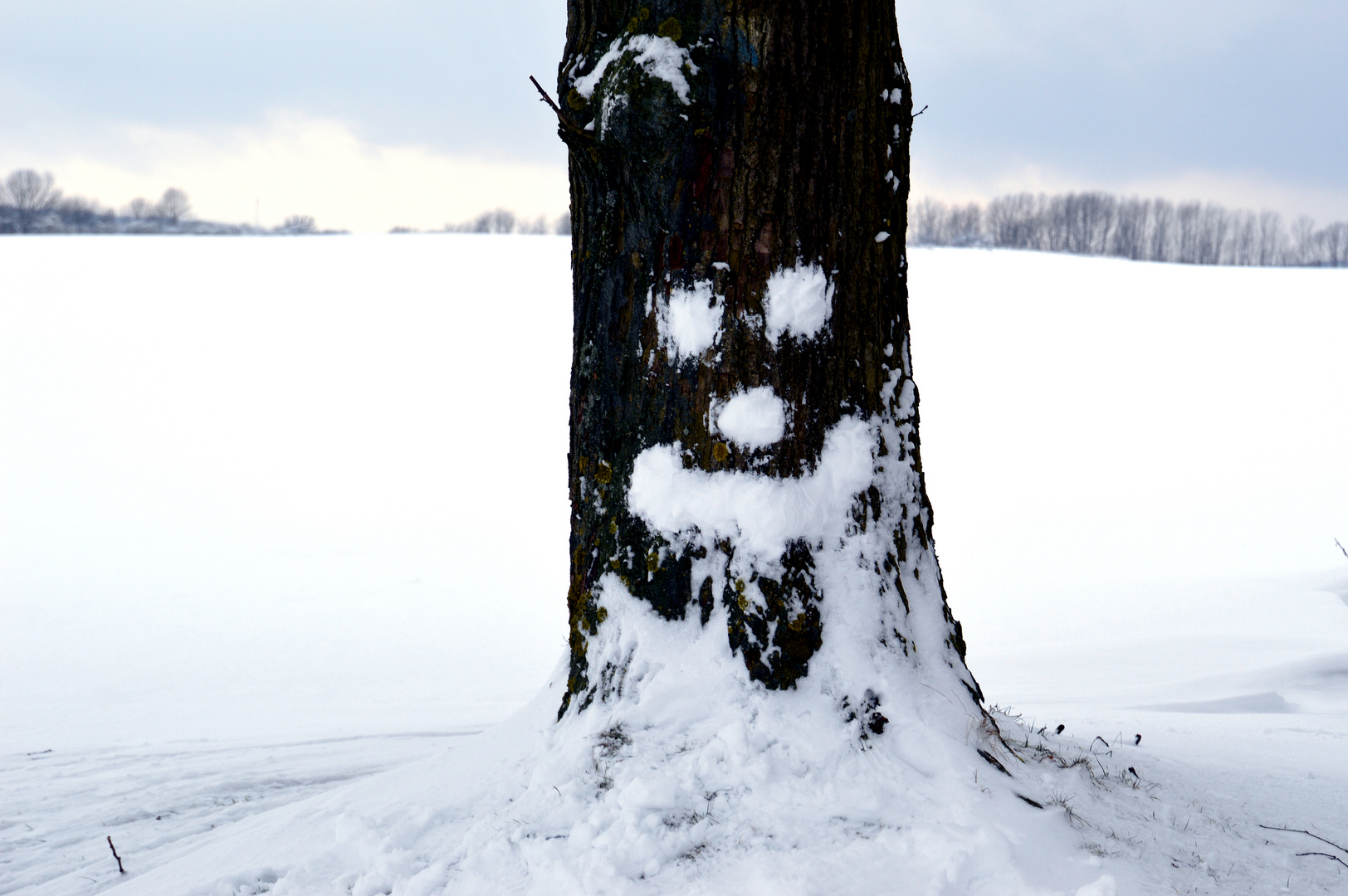 Ich wünsche euch Winterfreuden