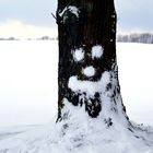 Ich wünsche euch Winterfreuden