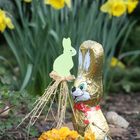 Ich wünsche Frohe Ostern!