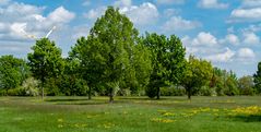 Ich wünsche mir den Frühling her