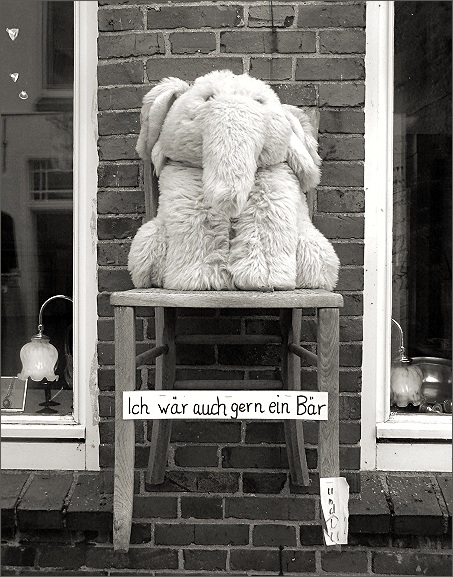 ich wünsche mir ein teddy !