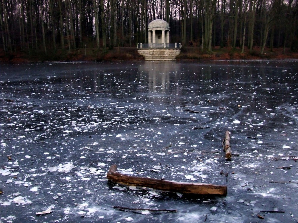 Ich wünsche Uns allen ein wunderschönes neues Jahr 2009