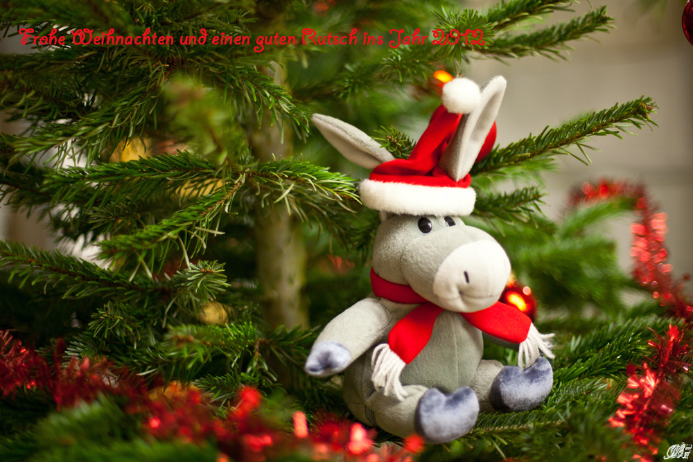 Ich wünschen Euch allen eine schöne Weihnacht und ein guten Rutsch ins Neue Jahr 2012 Foto