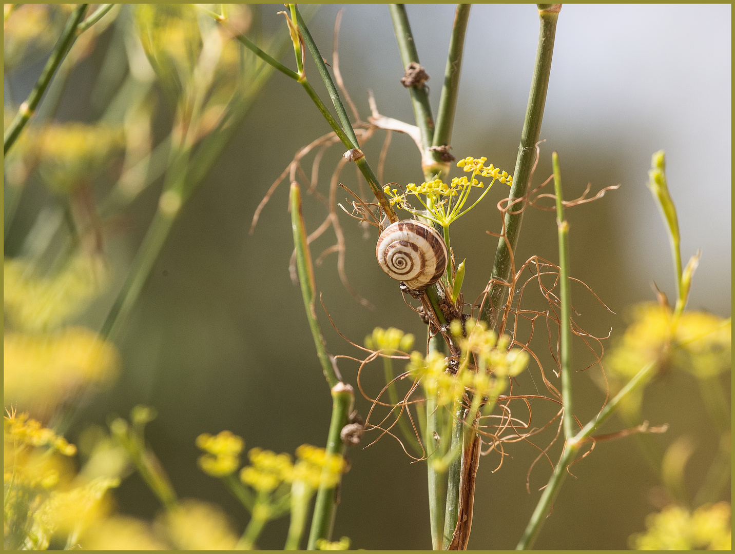 ich wurde zur Schnecke gemacht:-)