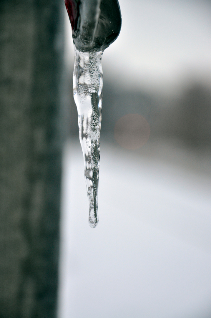 icicle