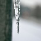 icicle