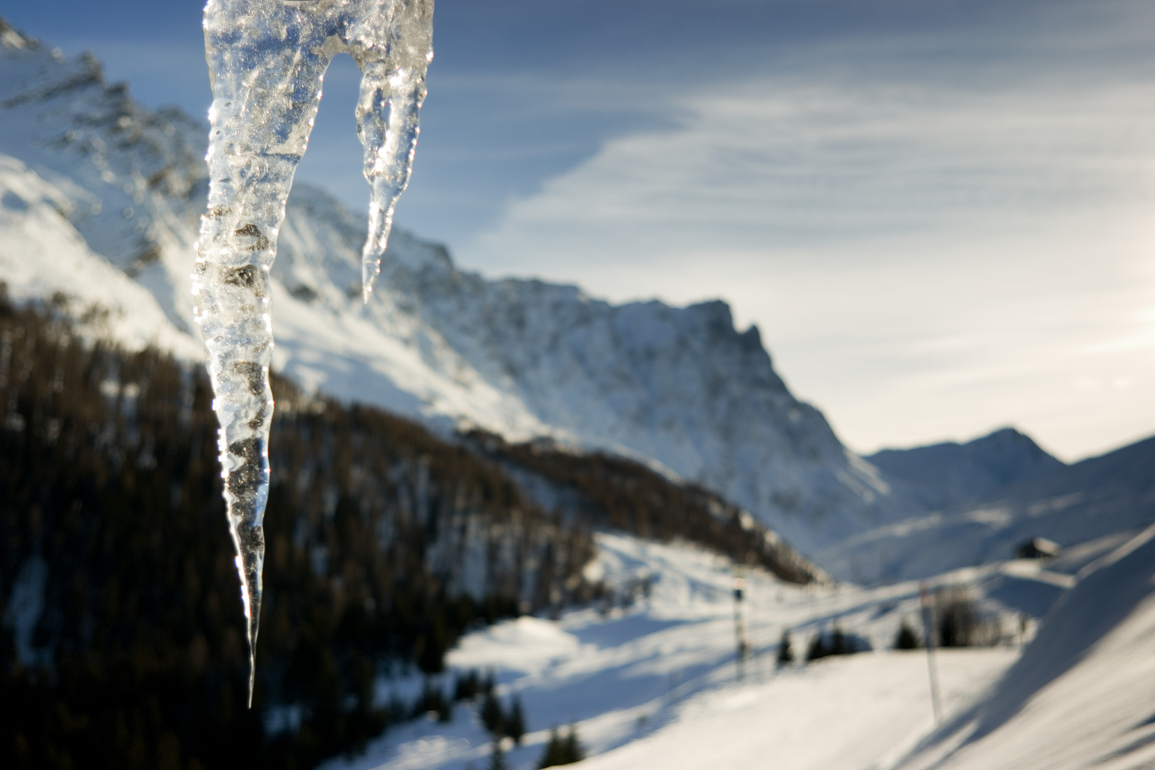 Icicle