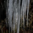 icicle