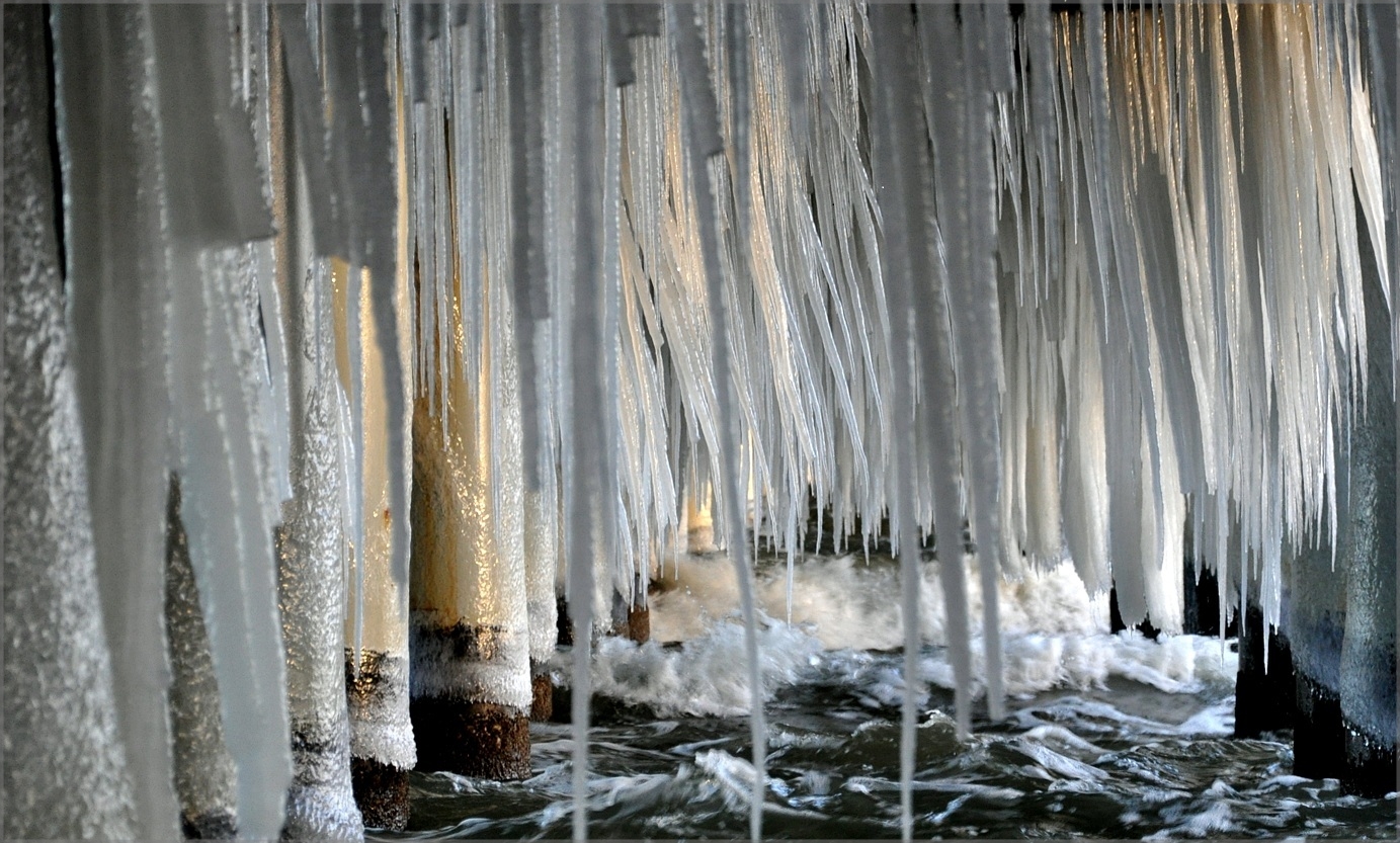 icicle forest