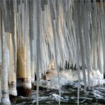 icicle forest