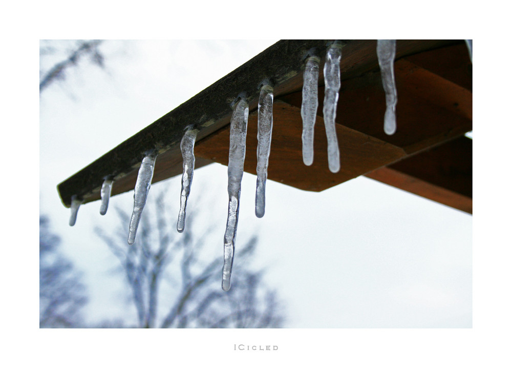 - Icicled -