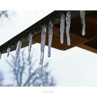 - Icicled -