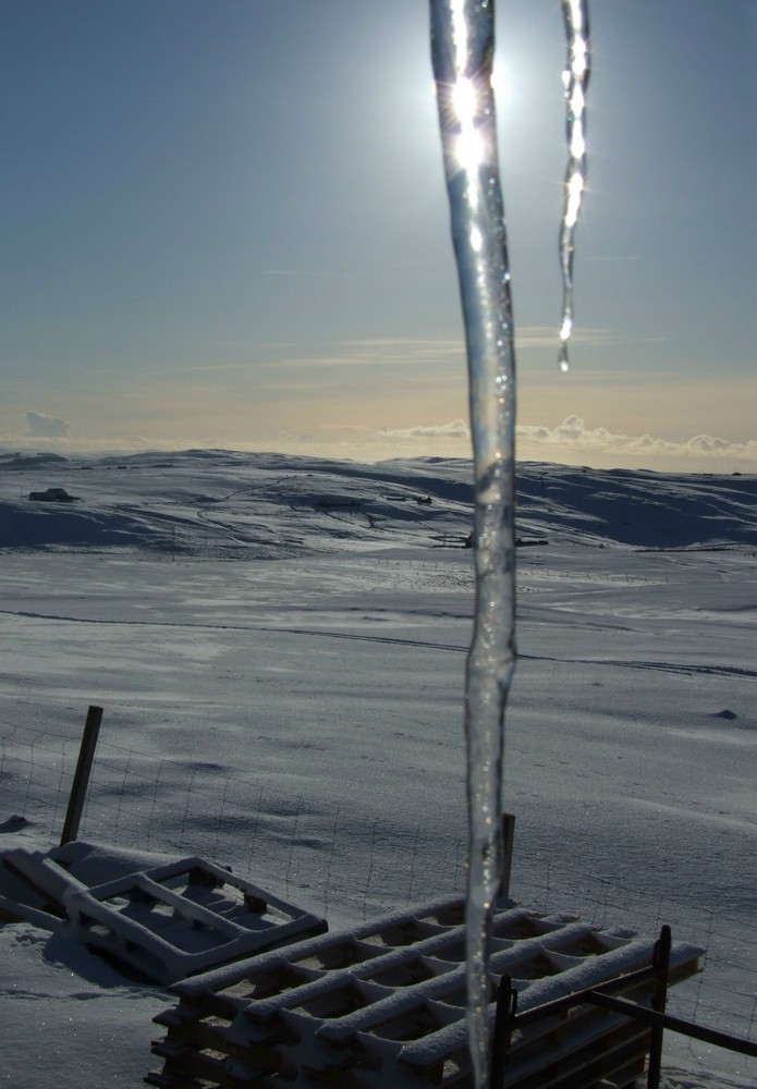 Icicles