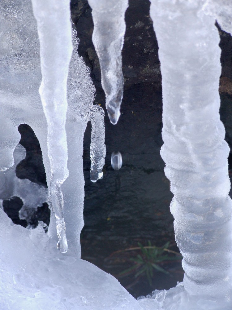 Icicles