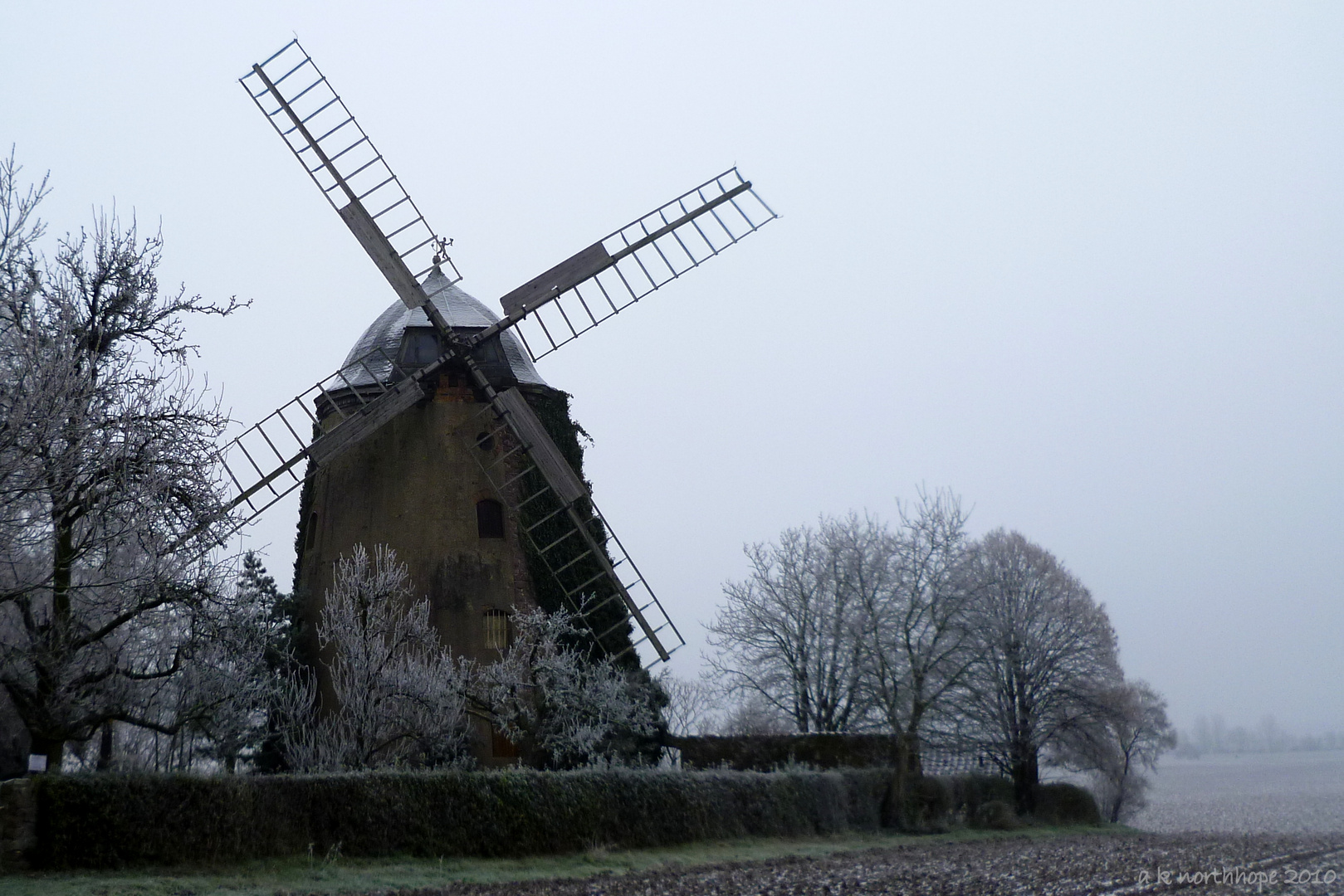 Icing sugar - Puderzuckerlandschaft mit Windmühle, Niederndodeleben/ Börde