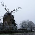 Icing sugar - Puderzuckerlandschaft mit Windmühle, Niederndodeleben/ Börde