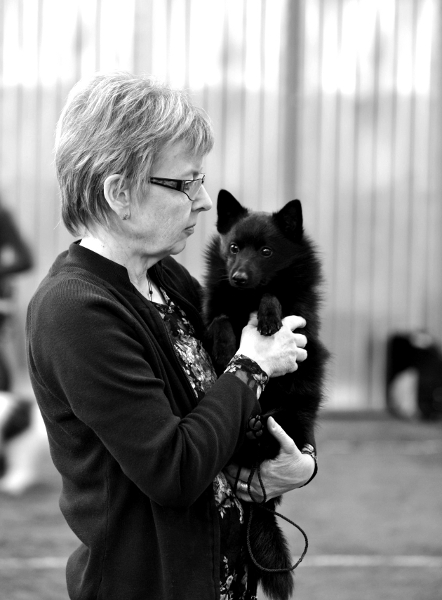 Ickx van de Mosedongen and Eva at a dogshow in Östergötland Schweden